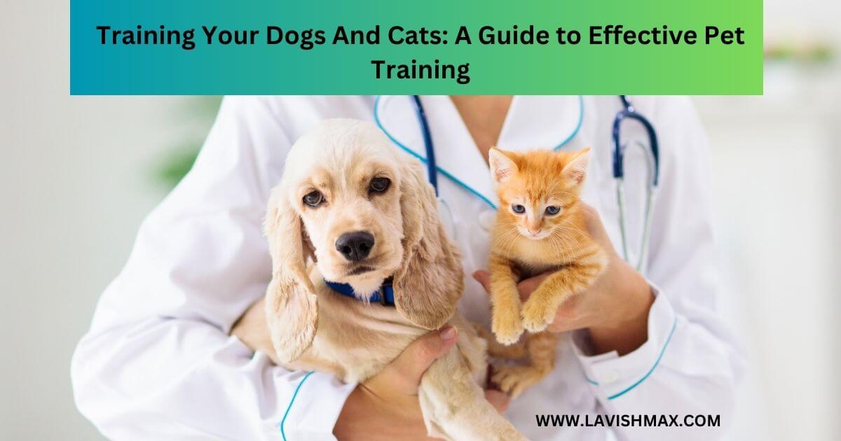 Training Your Dogs And Cats A Guide to Effective Pet Training